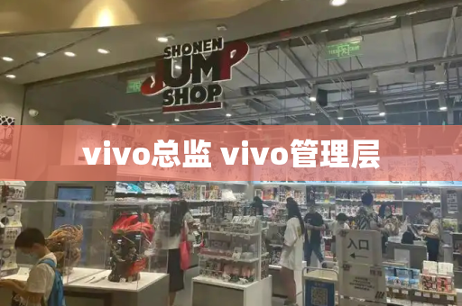 vivo总监 vivo管理层