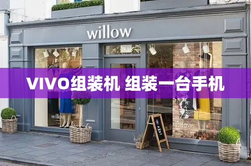 VIVO组装机 组装一台手机-第1张图片-星选测评