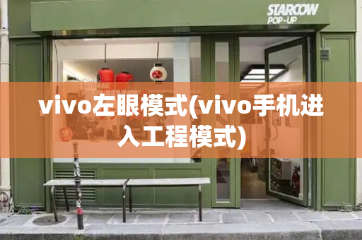 vivo左眼模式(vivo手机进入工程模式)-第1张图片-星选测评