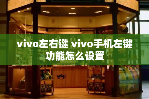 vivo左右键 vivo手机左键功能怎么设置-第1张图片-星选测评