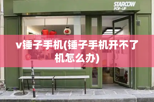 v锤子手机(锤子手机开不了机怎么办)-第1张图片-星选测评