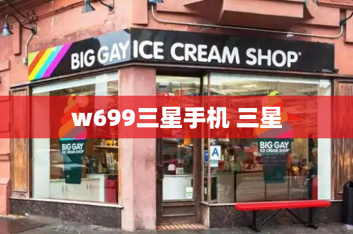 w699三星手机 三星