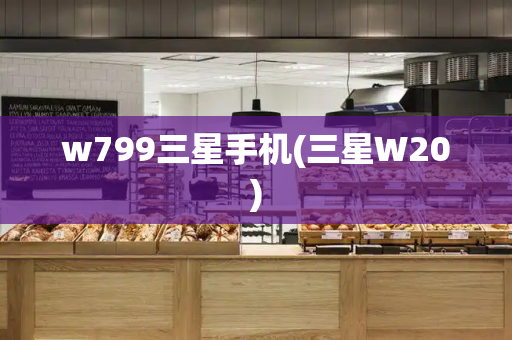 w799三星手机(三星W20)