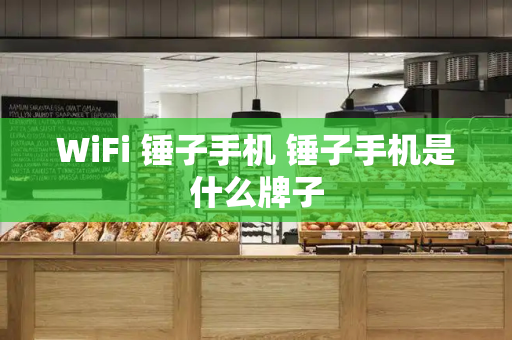 WiFi 锤子手机 锤子手机是什么牌子-第1张图片-星选测评