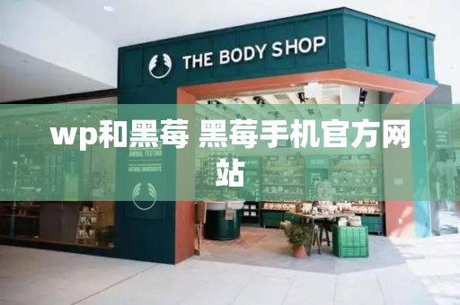 wp和黑莓 黑莓手机官方网站-第1张图片-星选测评