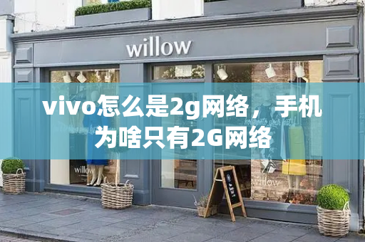 vivo怎么是2g网络，手机为啥只有2G网络