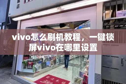 vivo怎么刷机教程，一键锁屏vivo在哪里设置-第1张图片-星选测评