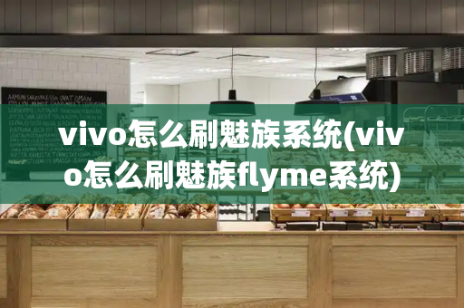 vivo怎么刷魅族系统(vivo怎么刷魅族flyme系统)-第1张图片-星选测评