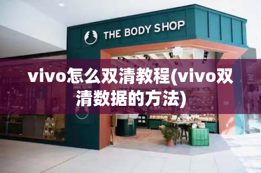 vivo怎么双清教程(vivo双清数据的方法)