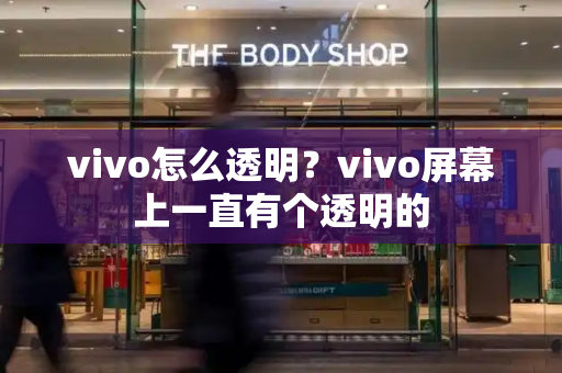 vivo怎么透明？vivo屏幕上一直有个透明的-第1张图片-星选测评