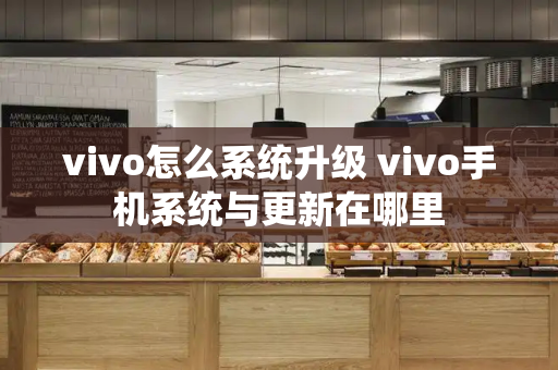 vivo怎么系统升级 vivo手机系统与更新在哪里