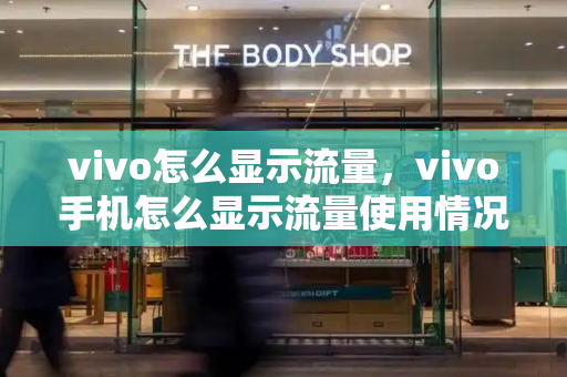vivo怎么显示流量，vivo手机怎么显示流量使用情况
