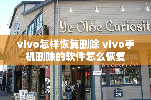 vivo怎样恢复删除 vivo手机删除的软件怎么恢复-第1张图片-星选测评