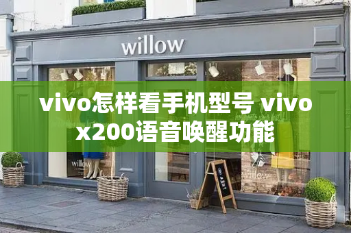 vivo怎样看手机型号 vivox200语音唤醒功能-第1张图片-星选测评