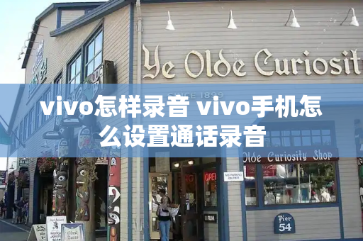 vivo怎样录音 vivo手机怎么设置通话录音-第1张图片-星选测评