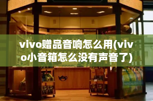 vivo赠品音响怎么用(vivo小音箱怎么没有声音了)-第1张图片-星选测评
