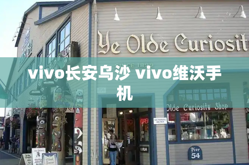 vivo长安乌沙 vivo维沃手机