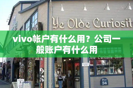 vivo帐户有什么用？公司一般账户有什么用-第1张图片-星选测评