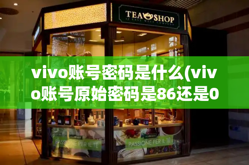 vivo账号密码是什么(vivo账号原始密码是86还是00)-第1张图片-星选测评