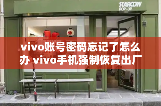 vivo账号密码忘记了怎么办 vivo手机强制恢复出厂设置密码