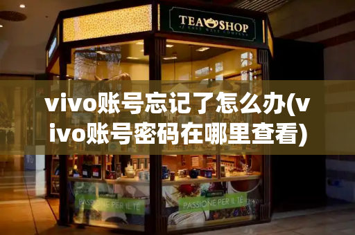 vivo账号忘记了怎么办(vivo账号密码在哪里查看)