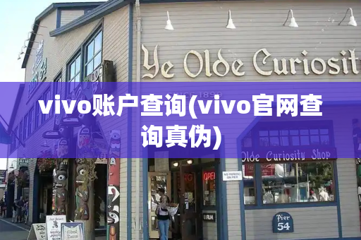 vivo账户查询(vivo官网查询真伪)-第1张图片-星选测评