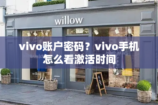 vivo账户密码？vivo手机怎么看激活时间-第1张图片-星选测评