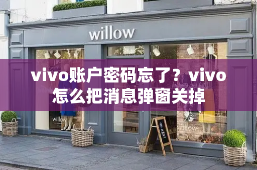 vivo账户密码忘了？vivo怎么把消息弹窗关掉-第1张图片-星选测评