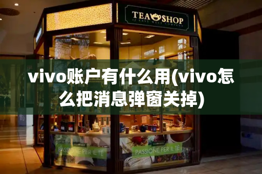 vivo账户有什么用(vivo怎么把消息弹窗关掉)-第1张图片-星选测评