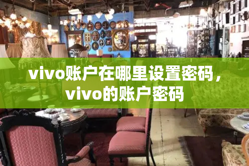 vivo账户在哪里设置密码，vivo的账户密码