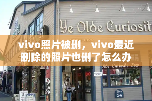 vivo照片被删，vivo最近删除的照片也删了怎么办-第1张图片-星选测评