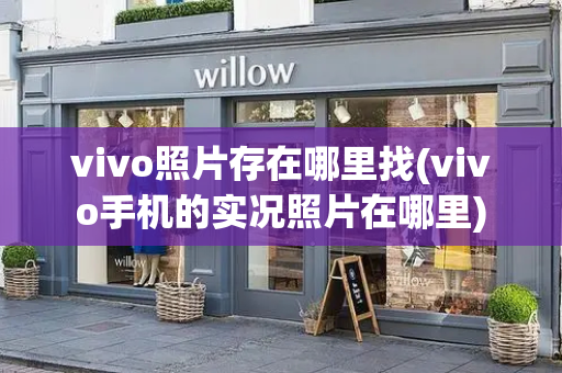 vivo照片存在哪里找(vivo手机的实况照片在哪里)