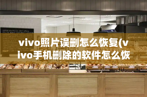vivo照片误删怎么恢复(vivo手机删除的软件怎么恢复)-第1张图片-星选测评