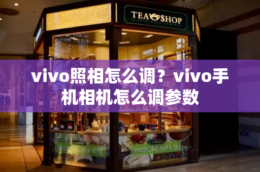 vivo照相怎么调？vivo手机相机怎么调参数