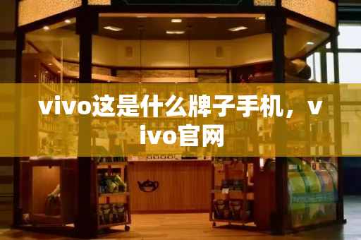 vivo这是什么牌子手机，vivo官网