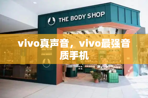 vivo真声音，vivo最强音质手机-第1张图片-星选测评