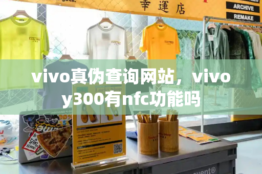 vivo真伪查询网站，vivoy300有nfc功能吗