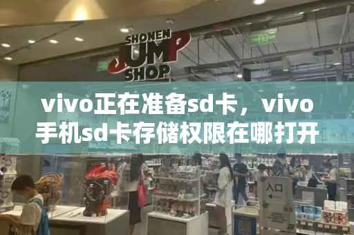 vivo正在准备sd卡，vivo手机sd卡存储权限在哪打开