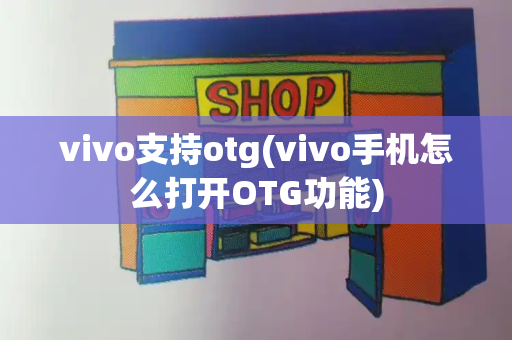 vivo支持otg(vivo手机怎么打开OTG功能)