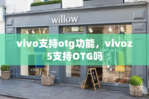 vivo支持otg功能，vivoz5支持OTG吗