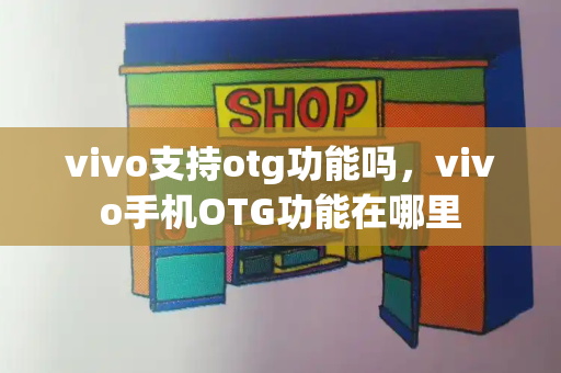 vivo支持otg功能吗，vivo手机OTG功能在哪里