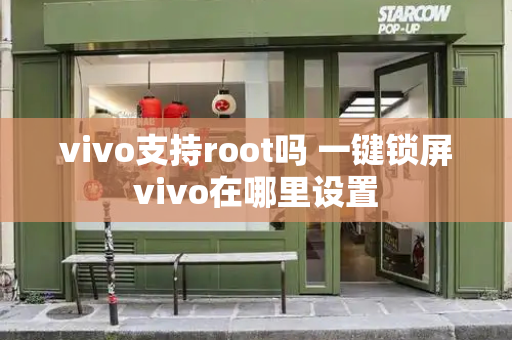vivo支持root吗 一键锁屏vivo在哪里设置