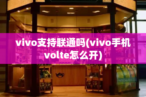 vivo支持联通吗(vivo手机volte怎么开)-第1张图片-星选测评