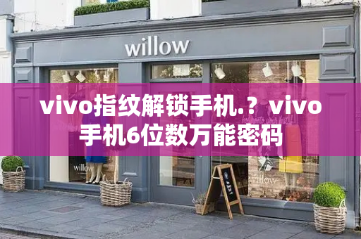 vivo指纹解锁手机.？vivo手机6位数万能密码-第1张图片-星选测评