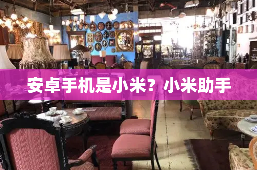 安卓手机是小米？小米助手-第1张图片-星选测评