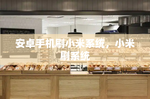 安卓手机刷小米系统，小米刷系统