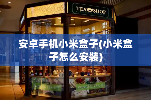 安卓手机小米盒子(小米盒子怎么安装)-第1张图片-星选测评