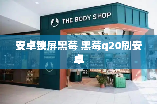 安卓锁屏黑莓 黑莓q20刷安卓-第1张图片-星选测评