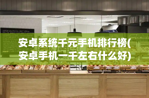 安卓系统千元手机排行榜(安卓手机一千左右什么好)-第1张图片-星选测评