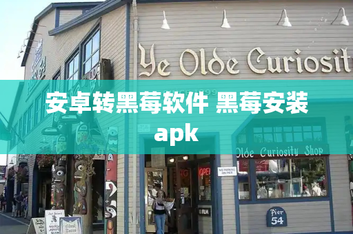 安卓转黑莓软件 黑莓安装apk-第1张图片-星选测评